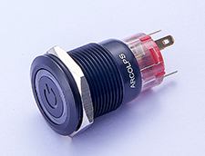 AM1901AFBBER-12V